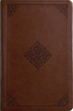 Load image into Gallery viewer, ESV Large Print Value Thinline Bible
