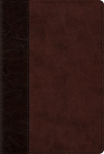 Load image into Gallery viewer, The Psalms, ESV
