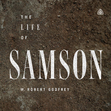 Load image into Gallery viewer, The Life of Samson
