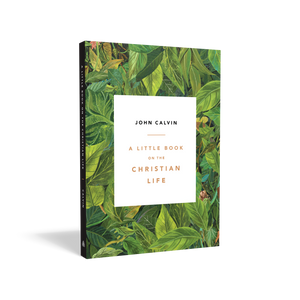A Little Book on the Christian Life, leaves cover — Paperback