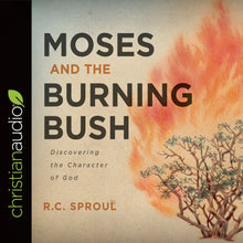 Load image into Gallery viewer, Moses and the Burning Bush
