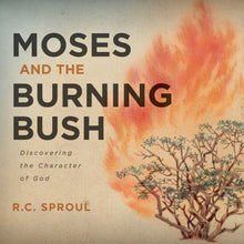 Load image into Gallery viewer, Moses and the Burning Bush
