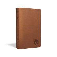 Load image into Gallery viewer, ESV Reformation Study Bible, Condensed Edition
