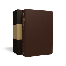Load image into Gallery viewer, ESV Reformation Study Bible — Premium Leather Brown
