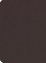 Load image into Gallery viewer, ESV Reformation Study Bible
