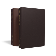Load image into Gallery viewer, ESV Reformation Study Bible
