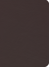 Load image into Gallery viewer, ESV Reformation Study Bible
