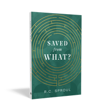 Load image into Gallery viewer, Saved from What? — Paperback
