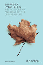 Load image into Gallery viewer, Surprised by Suffering: The Role of Pain and Death in the Christian Life — Paperback
