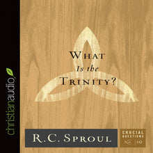 Load image into Gallery viewer, What Is the Trinity?
