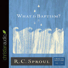 Load image into Gallery viewer, What Is Baptism?
