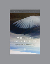 Load image into Gallery viewer, Who Is the Holy Spirit?
