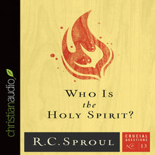 Load image into Gallery viewer, Who Is the Holy Spirit?
