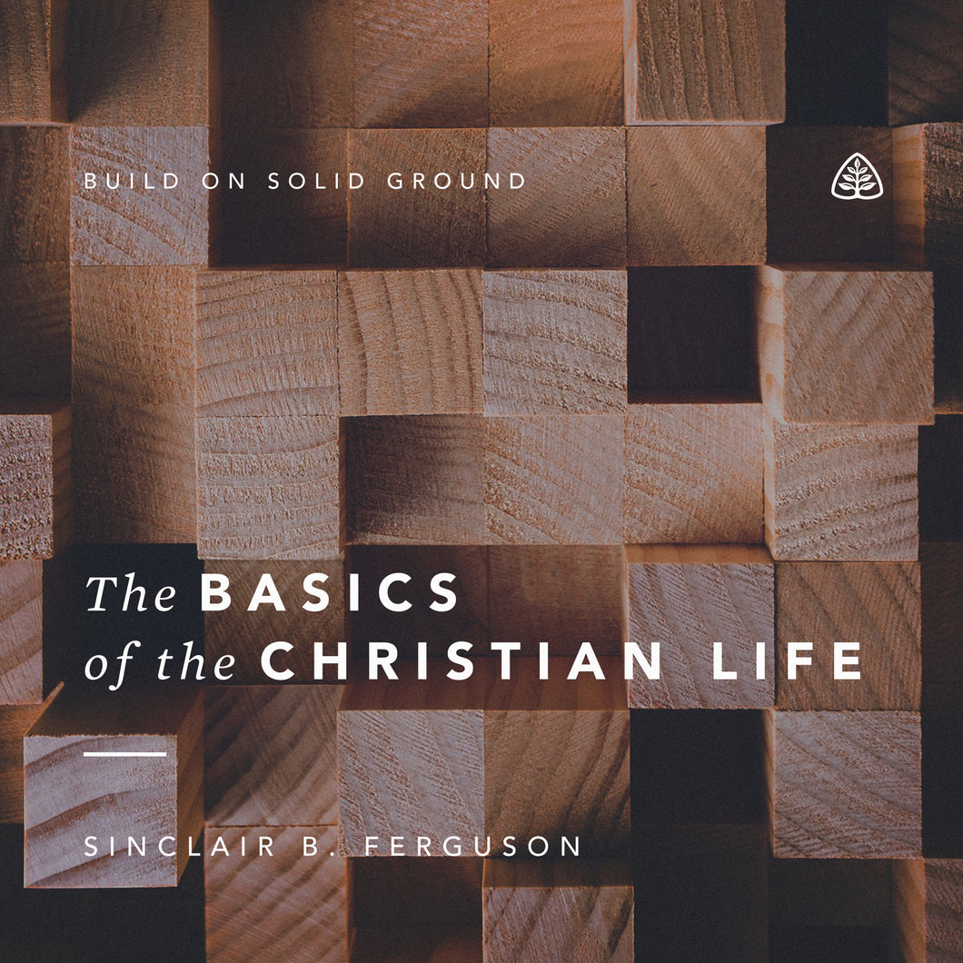 The Basics of the Christian Life: Build on Solid Ground — Download