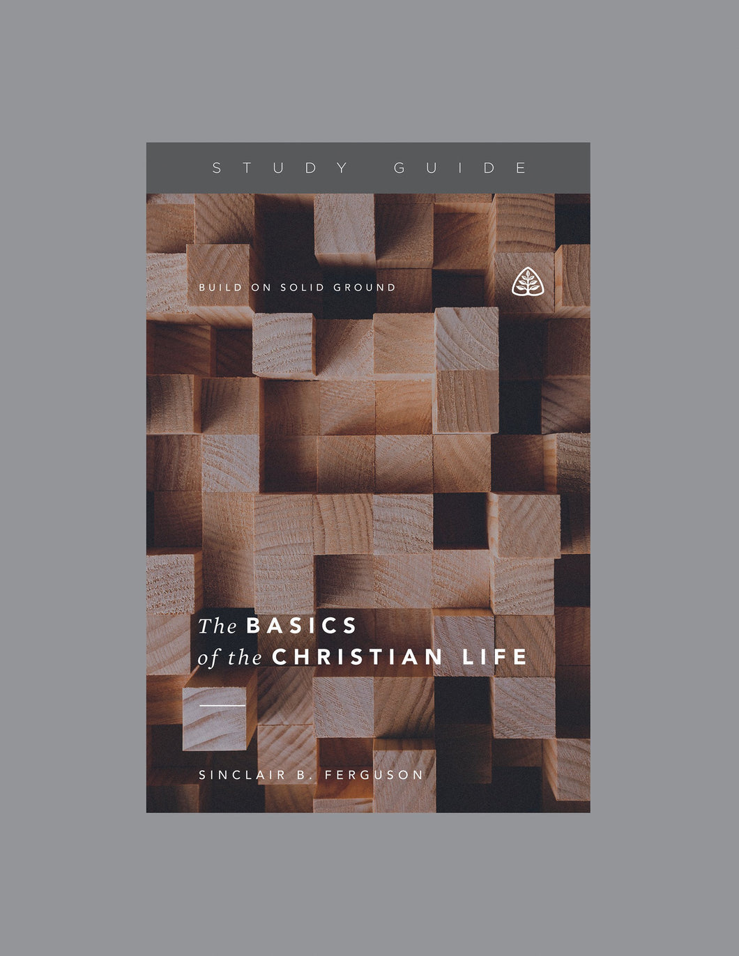 The Basics of the Christian Life: Build on Solid Ground — Download Study Guide PDF (1 License)