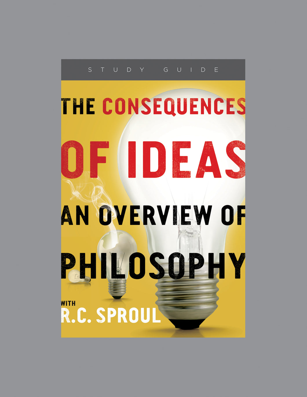 The Consequences of Ideas — Study Guide