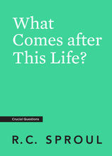 Load image into Gallery viewer, What Comes after This Life? — Paperback
