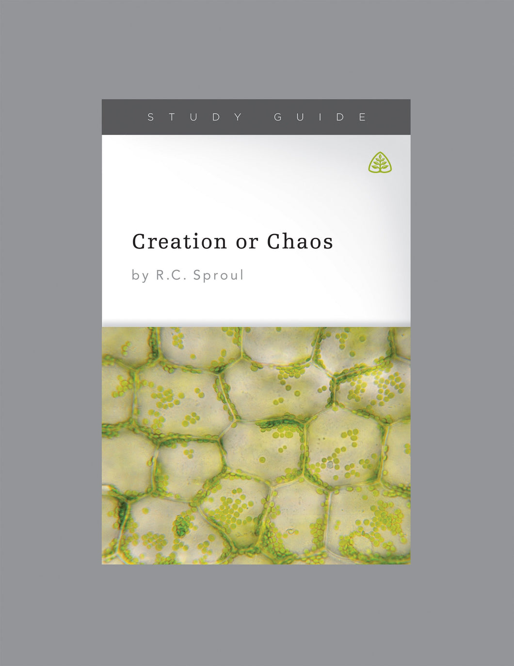 Creation or Chaos: Modern Science and the Existence of God — Download Study Guide PDF (1 License)