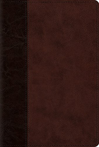 The Psalms, ESV — TruTone over Board, Brown/Walnut