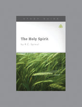 Load image into Gallery viewer, The Holy Spirit — Paperback
