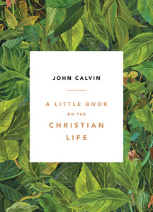 A Little Book on the Christian Life, leaves cover — Paperback