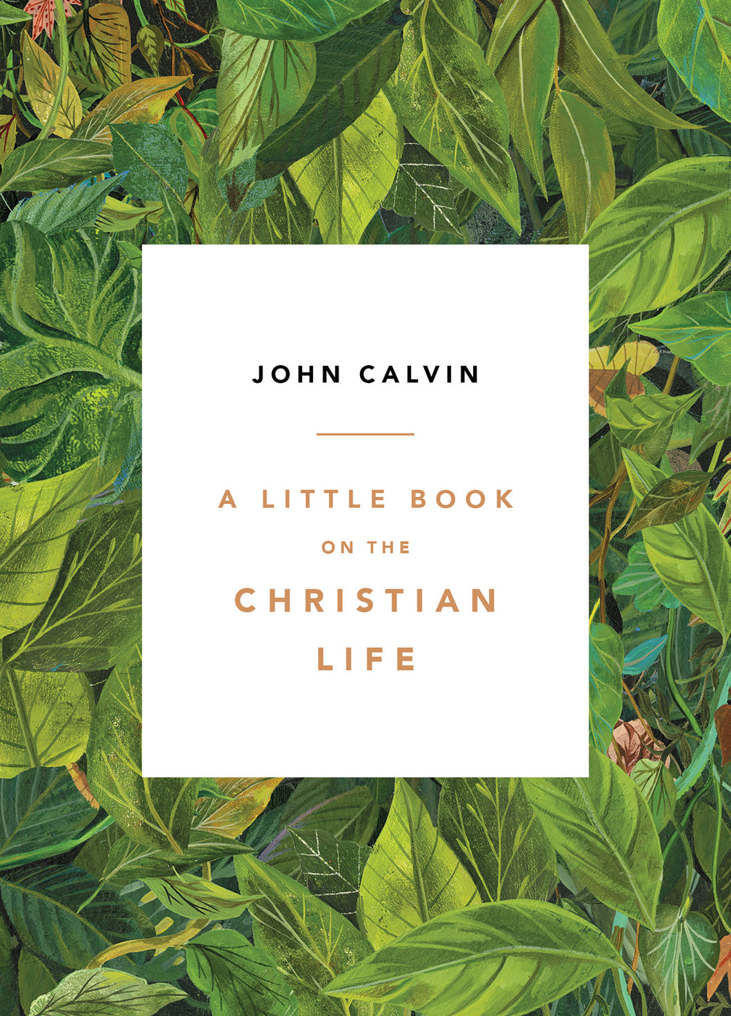 A Little Book on the Christian Life, leaves cover — Paperback