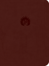 Load image into Gallery viewer, ESV Reformation Study Bible — Leather-Like Brick Red
