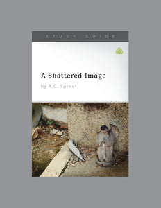 A Shattered Image — Download Study Guide PDF (1 License)