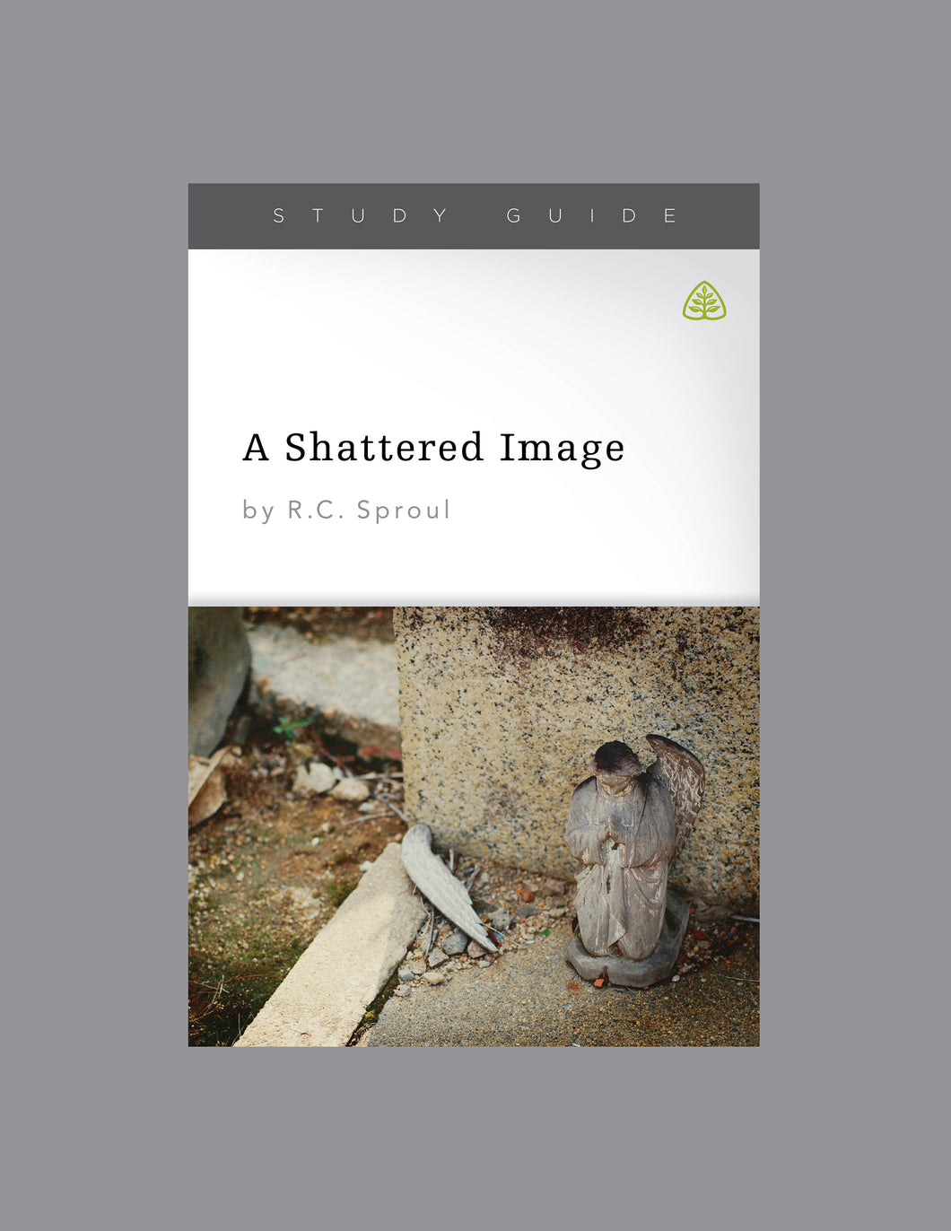 A Shattered Image — Download Study Guide PDF (1 License)